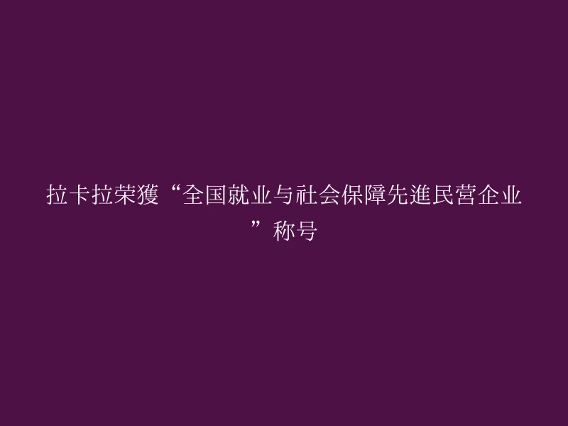 拉卡拉荣获“全国就业与社会保障先进民营企业”称号